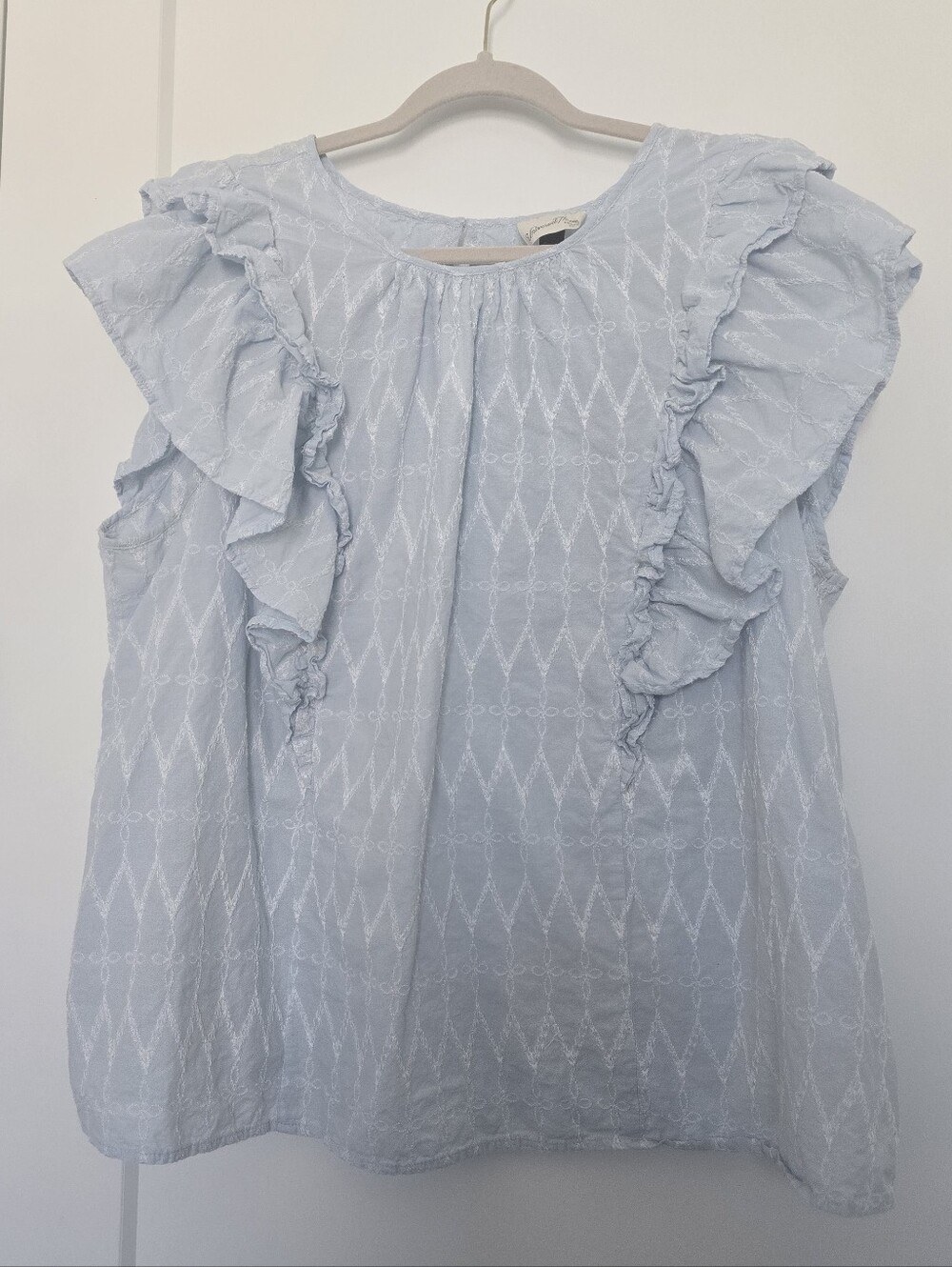 Cottagecore Light Blue Cotton Embroidered Ruffled Top Blouse Universal Thread